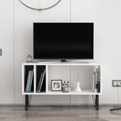 TV stalas Arven - White, Anthracite цена и информация | Тумбы под телевизор | pigu.lt