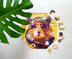 Dėlionė Milliwood Hippy Hamster, 46 d. kaina ir informacija | Dėlionės (puzzle) | pigu.lt