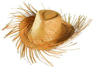 Гавайская соломенная шляпа «Пляжная вечеринка, Пугало» цена и информация | Карнавальные костюмы | pigu.lt