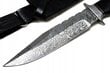 Turistinis peilis Impact Custom Knives HS-576, 17 cm kaina ir informacija | Turistiniai peiliai, daugiafunkciniai įrankiai | pigu.lt