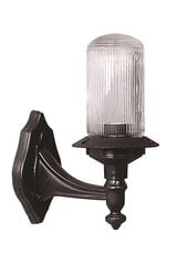 Lauko sieninė lemputė Avonni BAP-68174-BSY, 1 vnt. цена и информация | Уличные светильники | pigu.lt