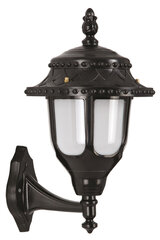 Lauko sieninė lemputė BAP-68180-BSY-M2 цена и информация | Уличные светильники | pigu.lt