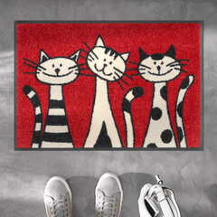 Kleen-Tex durų kilimėlis Three Cats 50x75 cm kaina ir informacija | Durų kilimėliai | pigu.lt