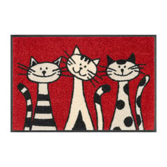 Kleen-Tex durų kilimėlis Three Cats 50x75 cm kaina ir informacija | Durų kilimėliai | pigu.lt