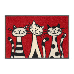 Kleen-Tex durų kilimėlis Three Cats 40x60 cm kaina ir informacija | Durų kilimėliai | pigu.lt