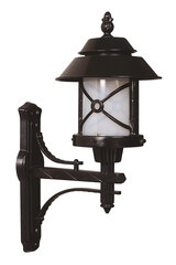 Lauko sieninė lemputė Avonni BAP-68199-BSY, 1 vnt. цена и информация | Уличные светильники | pigu.lt