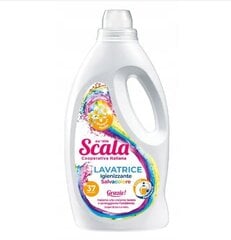 Scala концентрированный стиральный порошок Цветы, 1,5 л цена и информация | Средства для стирки | pigu.lt