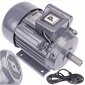 Vienfazis elektros variklis Powermat PM-JSE-2200T, 2,2kW 230V цена и информация | Elektros generatoriai | pigu.lt