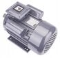 Vienfazis elektros variklis Powermat PM-JSE-3000T, 3kW 230V 2800RPM kaina ir informacija | Elektros generatoriai | pigu.lt