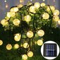 LED girlianda Solar Garland MasterLed, juoda цена и информация | Lauko šviestuvai | pigu.lt