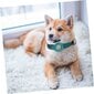 Šuns ir katės antkaklis su AirTag dėklu Bahar, 1 vnt. цена и информация | Antkakliai, petnešos šunims | pigu.lt
