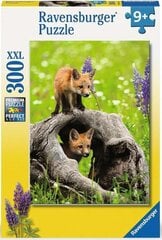 Dėlionė Ravensburger Curious Foxes, 300 d. kaina ir informacija | Dėlionės (puzzle) | pigu.lt