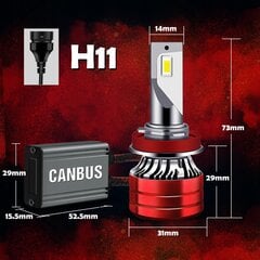Lemputės Xstorm V13 цена и информация | Автомобильные лампочки | pigu.lt