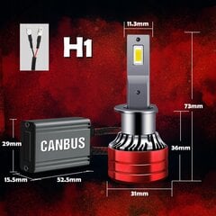 Lemputės Xstorm V13 kaina ir informacija | Automobilių lemputės | pigu.lt