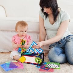Сенсорная игрушка Montessori Nicknack  цена и информация | Игрушки для малышей | pigu.lt