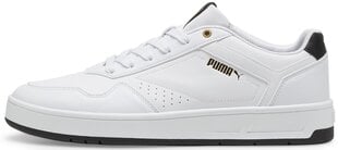 Puma Обувь Court Classic White 395018 07 395018 07/10 цена и информация | Кроссовки для мужчин | pigu.lt