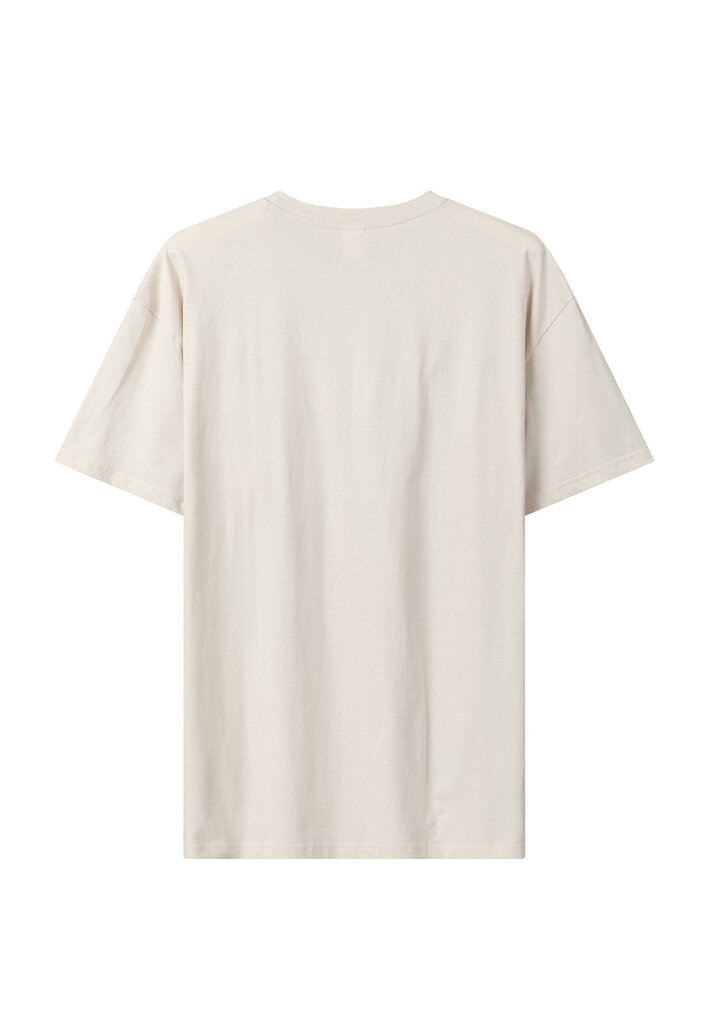 Marškinėliai vyrams Glo Story, smėlio spalvos kaina ir informacija | Vyriški marškinėliai | pigu.lt