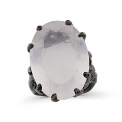 Серебряное (925) кольцо с драгоценными камнями, код f50365, EU-57 (~18 мм) F50365EU-57 цена и информация | Кольца | pigu.lt