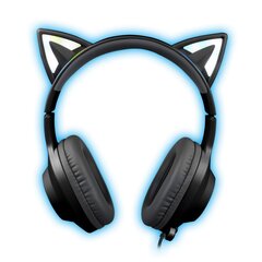 Foxxray ShinyCat Gaming Headset Wired Black/Grey kaina ir informacija | Ausinės | pigu.lt