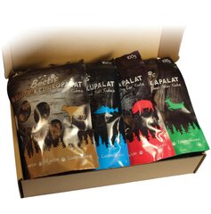 Bestis Bundle натуральные лакомства для собак, подарочная коробка 4х100г цена и информация | Лакомства для собак | pigu.lt