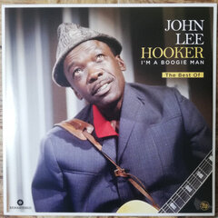 Vinilinė plokštelė John Lee Hooker I'm A Boogie Man The Best Of цена и информация | Виниловые пластинки, CD, DVD | pigu.lt