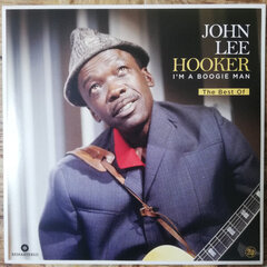 Vinilinė plokštelė John Lee Hooker I'm A Boogie Man The Best Of kaina ir informacija | Vinilinės plokštelės, CD, DVD | pigu.lt