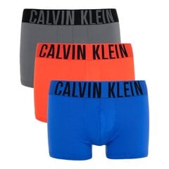 Calvin Klein trumpikės vyrams 88022, įvairių spalvų, 3 vnt. цена и информация | Мужские трусы | pigu.lt