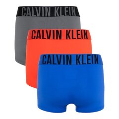 Calvin Klein trumpikės vyrams 88022, įvairių spalvų, 3 vnt. цена и информация | Трусы | pigu.lt