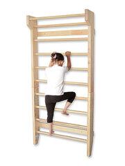 гимнастическая лестница для реабилитации, 195 см, деревянная цена и информация | Шведские стенки | pigu.lt