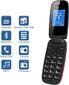 Ushining F200 Flip kaina ir informacija | Mobilieji telefonai | pigu.lt