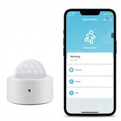 Mini PIR judesio detektorius Zigbee Tuya цена и информация | Датчики | pigu.lt