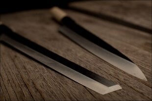 Нож Masahiro MS-8 Takohiki 240 мм [10023]. цена и информация | Ножи и аксессуары для них | pigu.lt