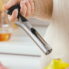 Obuolių peilis, 18 cm цена и информация | Ножи и аксессуары для них | pigu.lt
