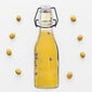 Orion butelis, 290 ml kaina ir informacija | Taurės, puodeliai, ąsočiai | pigu.lt