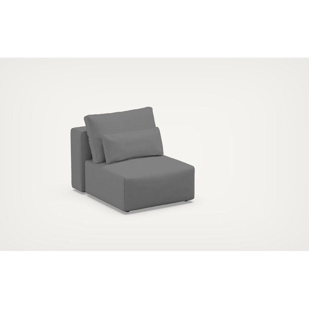 Sofa Riposo ottimo, 105x80x85 cm, pilka kaina ir informacija | Sofos | pigu.lt