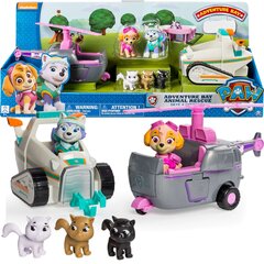 Transporto priemonių ir figūrėlių rinkinys Paw Patrol (Šunyčiai Ptruliai) цена и информация | Игрушки для мальчиков | pigu.lt