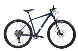 Kalnų dviratis Cpro MTB Al-Pro 29", mėlynas kaina ir informacija | Dviračiai | pigu.lt