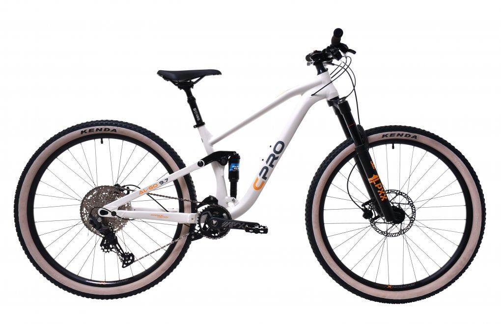 Kalnų dviratis Cpro MTB C-Pro All-Go, 29", pilkas kaina ir informacija | Dviračiai | pigu.lt