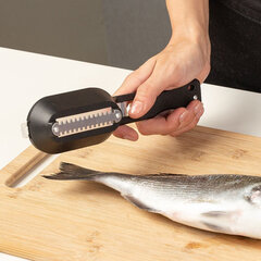 Žuvies žvynų skustukas su dėžute, 20 cm kaina ir informacija | Virtuvės įrankiai | pigu.lt