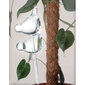 Augalų laistymo dozatorius H&S Decoration, 2 vnt. kaina ir informacija | Laistymo įranga, purkštuvai | pigu.lt