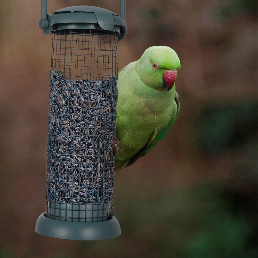 Paukščių lesyklėlė ProGarden, žalia, 23 cm kaina ir informacija | Inkilai, lesyklėlės, narvai | pigu.lt
