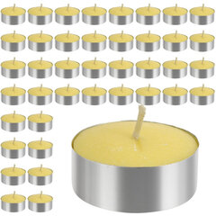 Žvakė nuo uodų Citronela, 40 vnt kaina ir informacija | Priemonės nuo uodų ir erkių | pigu.lt