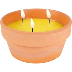 Žvakė nuo uodų Citronela, 1 vnt цена и информация | Средства от комаров и клещей | pigu.lt