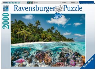 Dėlionė Ravensburger A Dive in the Maldives, 2000 d. kaina ir informacija | Dėlionės (puzzle) | pigu.lt