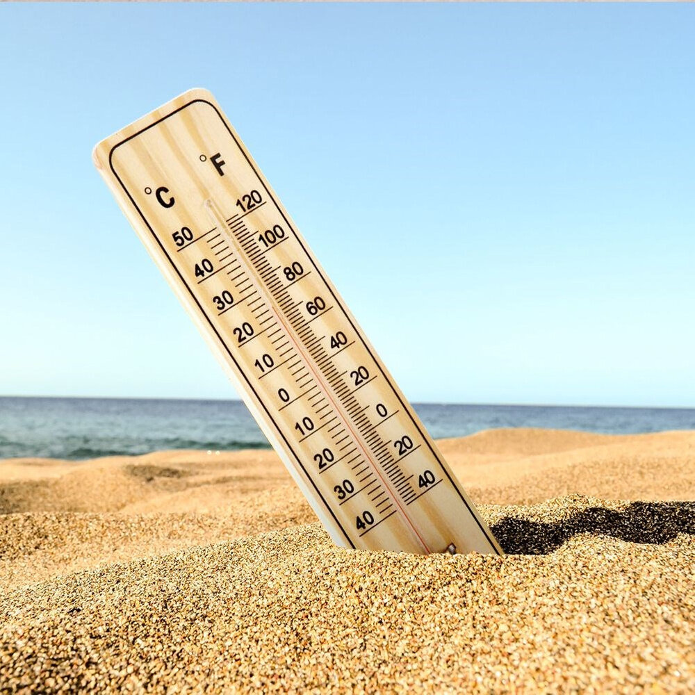 Lauko termometras 22 cm kaina ir informacija | Meteorologinės stotelės, termometrai | pigu.lt