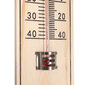 Lauko termometras 22 cm kaina ir informacija | Meteorologinės stotelės, termometrai | pigu.lt