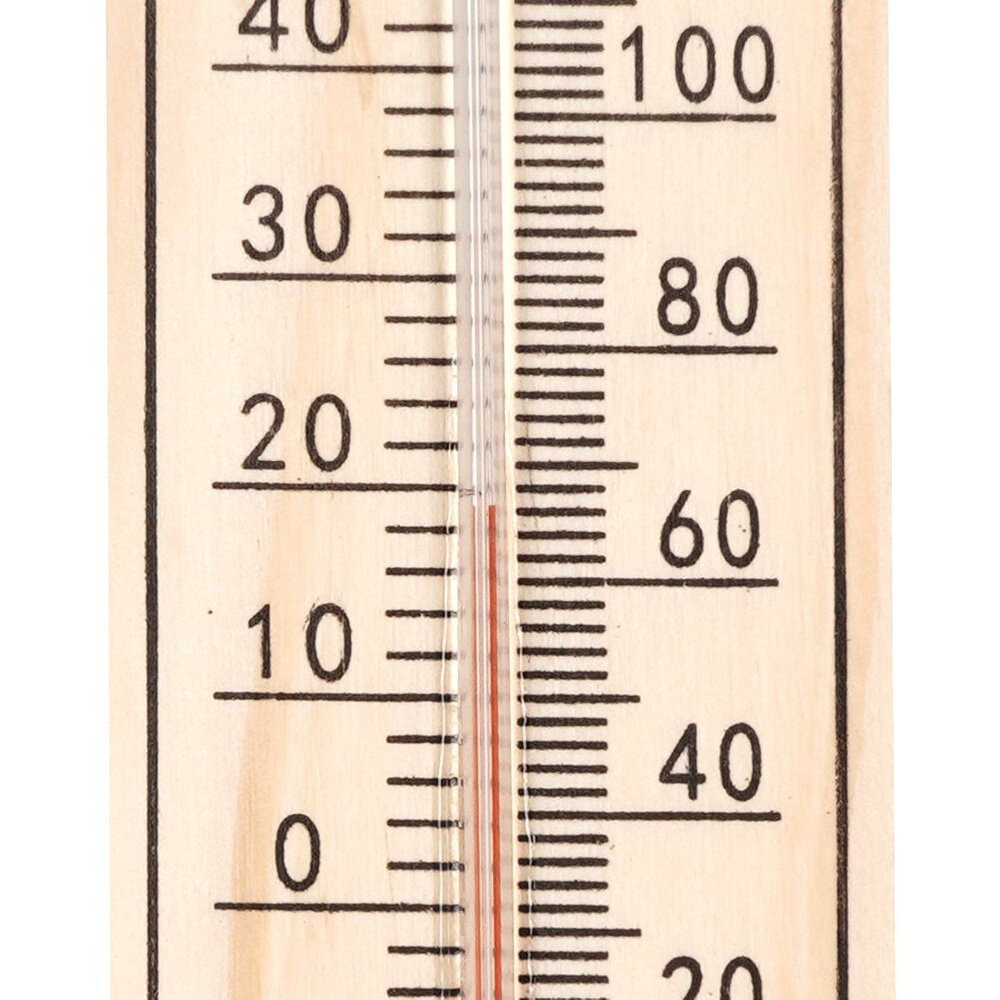 Lauko termometras 22 cm kaina ir informacija | Meteorologinės stotelės, termometrai | pigu.lt