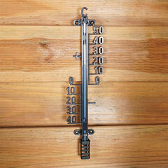 Lauko termometras juodas 25 cm цена и информация | Метеорологические станции, термометры | pigu.lt