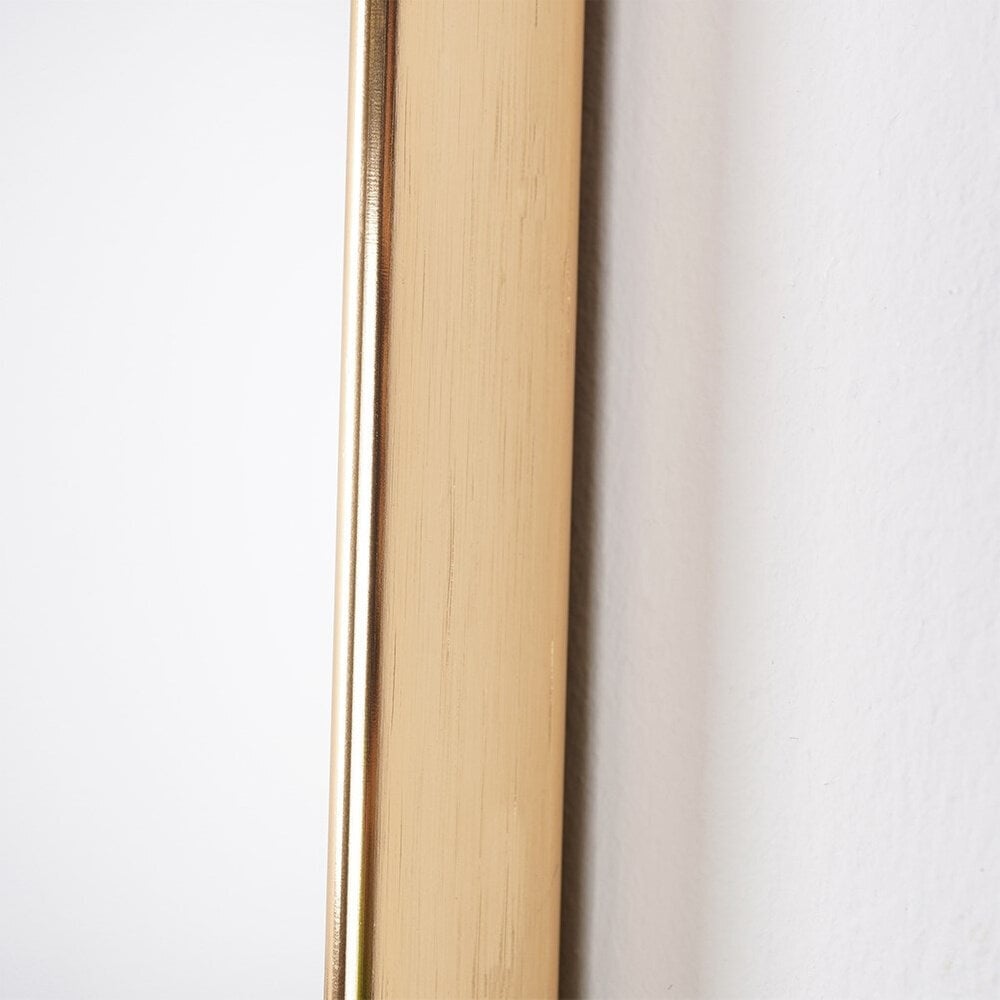 Sieninis veidrodis Vilde, 55x45 cm, auksinis цена и информация | Veidrodžiai | pigu.lt