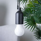 Vilde pakabinamas šviestuvas kaina ir informacija | Pakabinami šviestuvai | pigu.lt